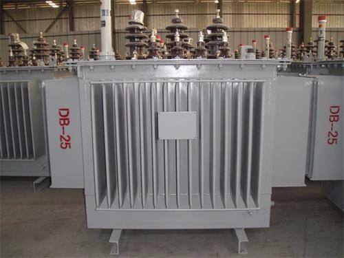 景德镇S13-100KVA/10KV/0.4KV油浸式变压器